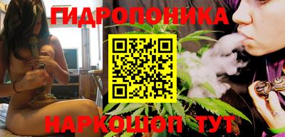молекула духа Пенза