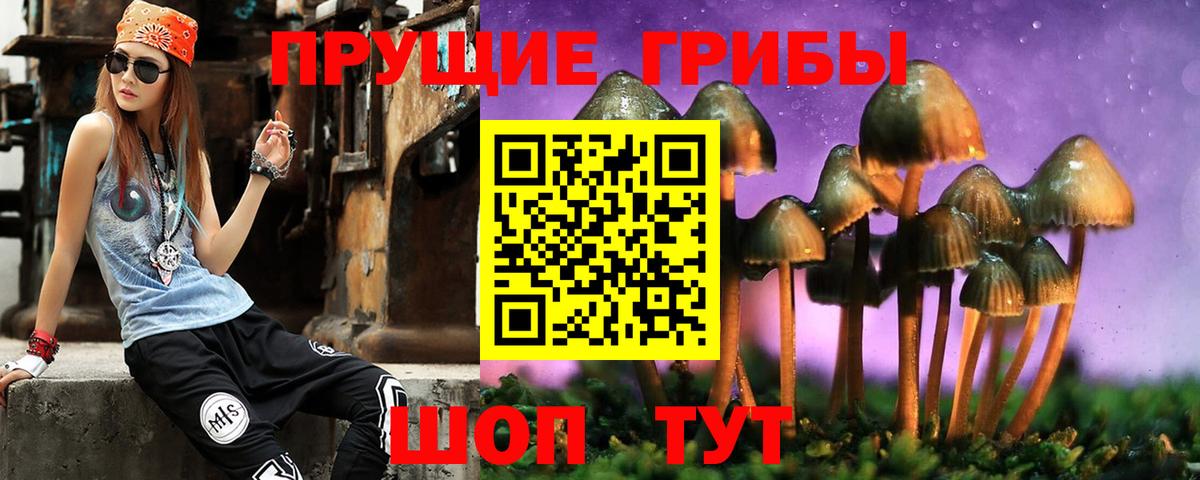 Нижнекамск  Псилоцибиновые грибы GOLDEN TEACHER  Псилоцибиновые грибы Psilocybine cubensis  Вход с VPN 